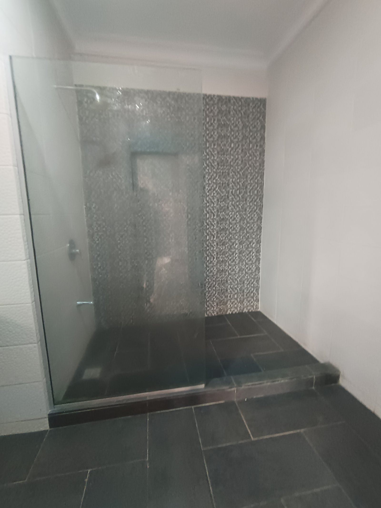 Newly Renovated 3-Bedroom Apartments, Idado